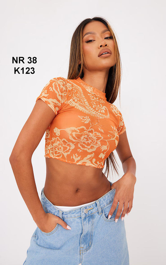 Orange Paisley Print Mesh Crop Top
