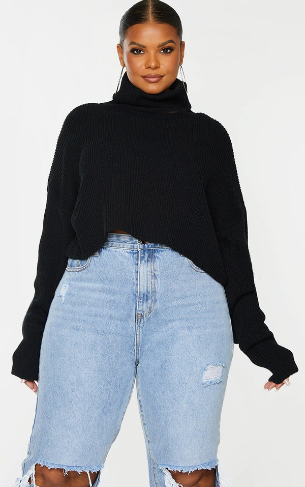 Plus Black Ribbed Knit High Neck Cropped Jumper